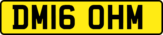 DM16OHM