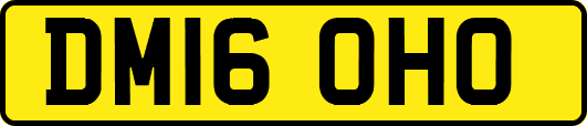 DM16OHO