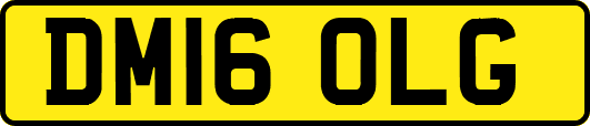 DM16OLG