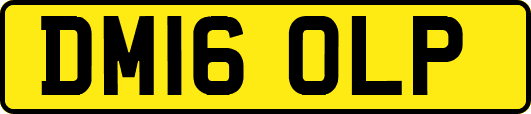 DM16OLP