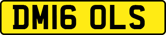 DM16OLS
