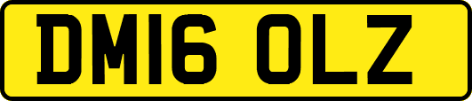DM16OLZ