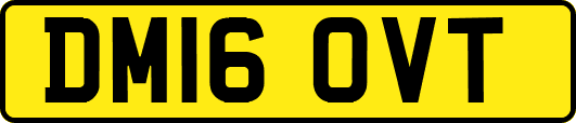 DM16OVT