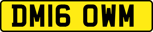 DM16OWM