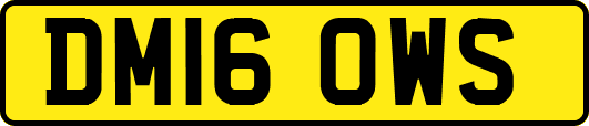 DM16OWS