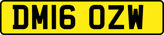 DM16OZW