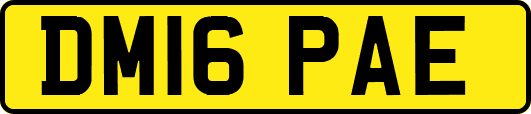 DM16PAE