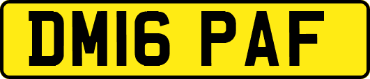 DM16PAF