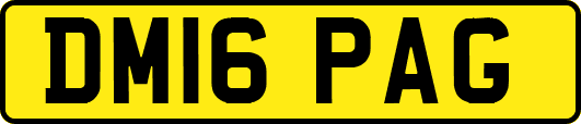 DM16PAG