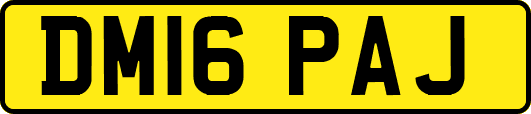 DM16PAJ