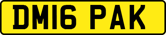 DM16PAK