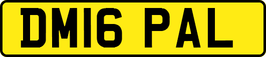 DM16PAL