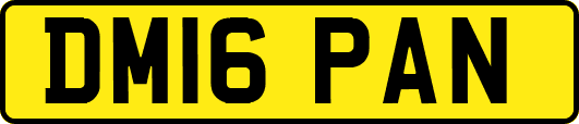 DM16PAN