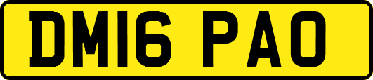 DM16PAO