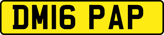 DM16PAP