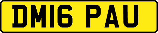 DM16PAU
