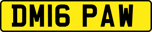 DM16PAW