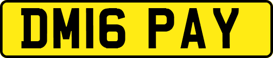 DM16PAY