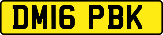 DM16PBK