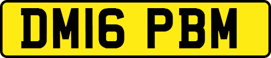DM16PBM