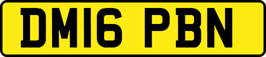 DM16PBN