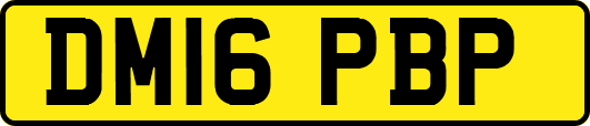 DM16PBP