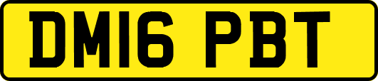 DM16PBT