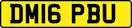DM16PBU