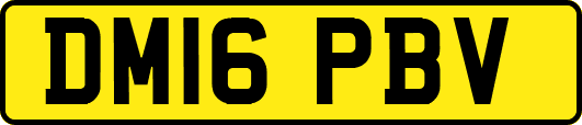 DM16PBV