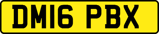 DM16PBX