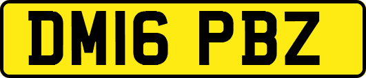 DM16PBZ