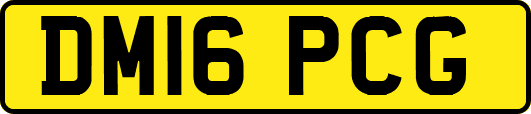 DM16PCG