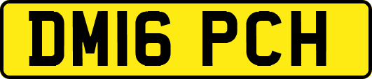 DM16PCH