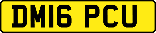 DM16PCU
