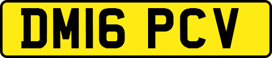 DM16PCV