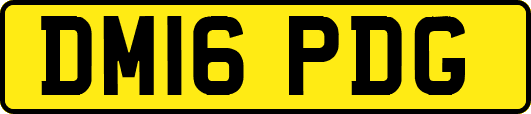 DM16PDG