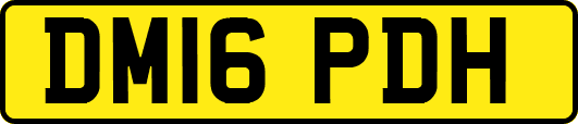 DM16PDH