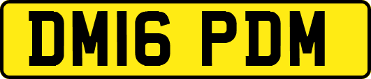 DM16PDM