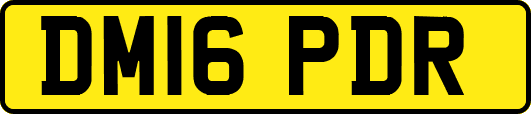 DM16PDR