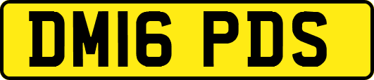 DM16PDS