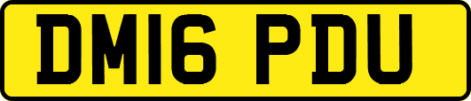 DM16PDU