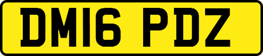 DM16PDZ