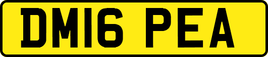 DM16PEA