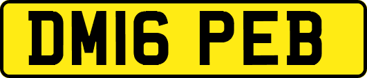 DM16PEB