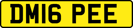 DM16PEE