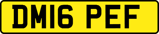 DM16PEF