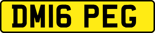 DM16PEG