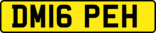 DM16PEH