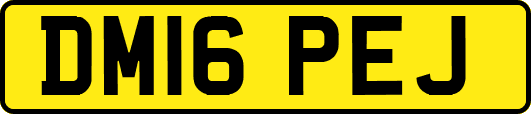 DM16PEJ
