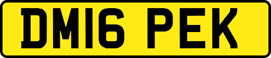 DM16PEK